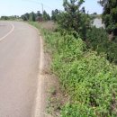 산양보건진료소 이미지