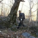 지리산화개깊은골 이미지