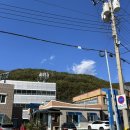 텃밭에노는닭 | [강원도여행] 태백여행 삼척 도계 물닭갈비 원조 “텃밭에 노는닭” 내돈내산 후기