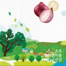 초호영농조합법인 이미지