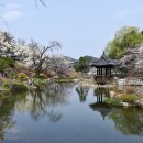 나도 화가 이미지