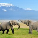 6205 | 인생 버킷리스트 완성! 아프리카 전문 여행사 디스이즈아프리카와 함께한 꿈같은 시간