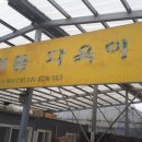 마메들다육이