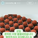 모브커피