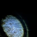 서리산농장 | 가평 잣나무숲 서리산농장 백패킹 (예약방법 및 비용)