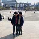 파파손케어 이미지