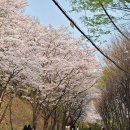 도구머리공원 이미지