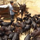 고을숯불갈비 이미지