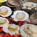 니어앤디어브런치카페 이미지