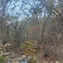 명덕호수공원 이미지