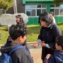 (학교)경포초 이미지