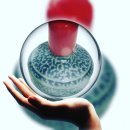 주식회사 세상 이미지