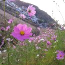 달그리고강 이미지