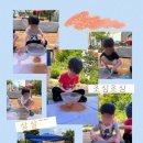 폴유치원 이미지