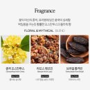 펑라이 이미지