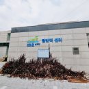 수풀로 삼회리 네이버블로그