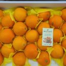 욱이네 농장 이미지