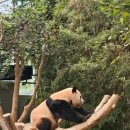 산마루로뎀 이미지