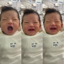 신애정신병원 | 2024.11.04_삐용아, 반가워❤️[39주0일 자연분만/급 전생이 되어버린 현생일기]