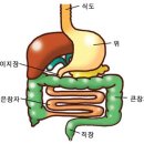 에이플러스과학나라 이미지