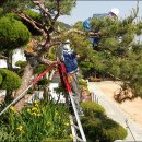 외포초등학교 이미지