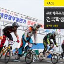 양양군 BMX경기장 이미지