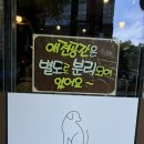 [미아 고기집] 안집주물구이-애견동반🐶가능한 미아...삼돌이한판세트(암돼지삼겹살🐷+한우차돌🐮)즐긴 후기