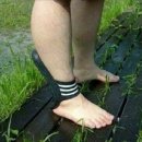 흑진주마리나리조트 이미지