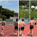 Team Shark 이미지