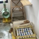 운정 숲 고양이호텔 이미지