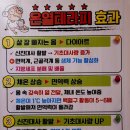 루다핏