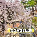 앞산 맛둘레길 벽천 | 대구 앞산 벚꽃 명소 앞산빨래터공원 꽃구경