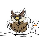 쿠잉풀빌라앤스파펜션 이미지