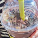 동해-단속-41 이미지