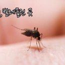 테라뷰티 - 남구 팔등로51번길 35 | 테라뷰티