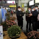 분재전시회 이미지