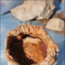 김해가축약품 이미지