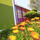 애월초등학교 이미지