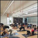 필라테스사랑 - 양주시 회천남로 80 | 필라테스사랑