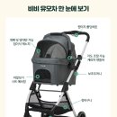 비비펫 이미지
