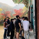 장흥안양중학교 이미지