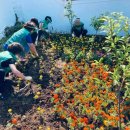 동삼1동-3 이미지