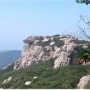 천인상사