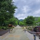 양주시 미술관 옆 캠핑장 이미지