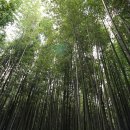 명옥헌민박 이미지