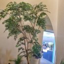 지에스(GS)25춘천구봉산 이미지