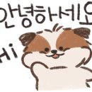 오꼬노미야끼금 이미지