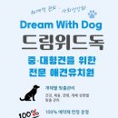 위드독 - 양평군 중앙로111번길 53-4 | 위드독