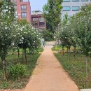 위례성대로 이미지