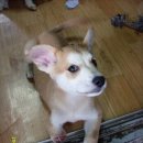 구원농장 이미지